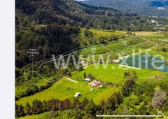 PIEDRANCHA TERRENOS SUSTENTABLES, VALLE DE BRAVO