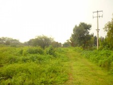 TERRENO CAMPESTRE EN VENTA / San Miguel Cuyutlán