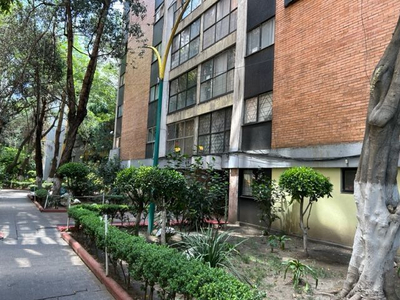 Departamento En Venta Dr Navarro Unidad Morelos Colonia Doct