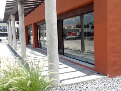 Local Comercial En Renta En Monterrey