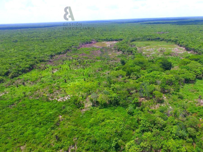 Terreno En Hacienda Santa Cruz Yucatán. Ctv54.