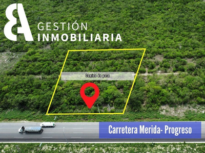 Terreno En Venta Sobre Carretera Mérida-progreso. Ctv260