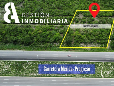 Terreno En Venta Sobre Carretera Mérida-progreso Ctv261