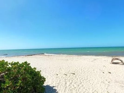 Chelem, Yucatán. Terreno Frente Al Mar. Propiedad Privada
