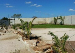 Terreno en Chichi Suarez 4,000 m2 $1,500 m2