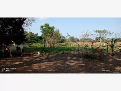 Rancho En Venta Sal Si Puedes