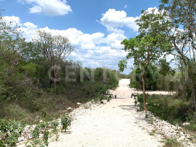 Venta De Terrenos En Izamal, Yucatán