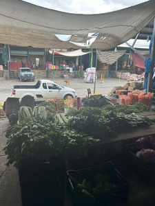 Bodega Central De Abastos Cuautla