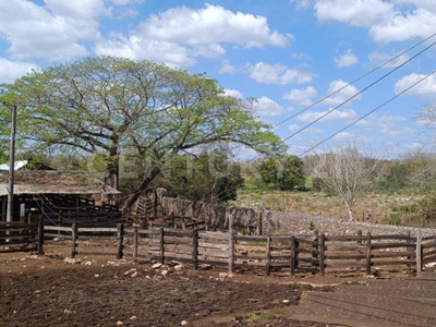 Rancho En Venta Con Irrigación-, Sobre Carretera Izamal Tunkás, Yucatan
