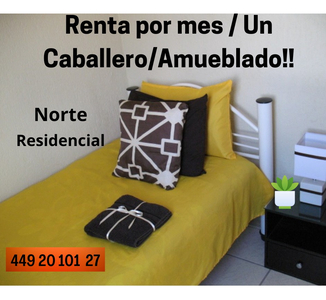 Renta Aguascalientes Amueblado Departamento Zona Residencial / Un Caballero / Garaje/ Internet /al Norte/ Plaza Altaria /uaa/ Incluye Servicios.