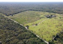 rancho con cenote y casa 24 hectáreas valladolid, yucatán
