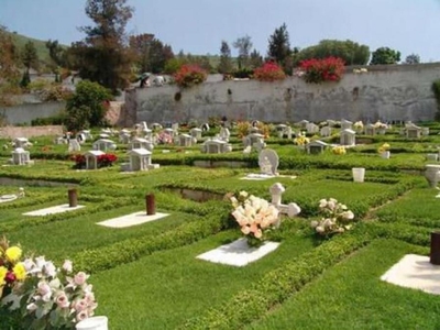 Terreno en Venta en San Rafael, Mexico