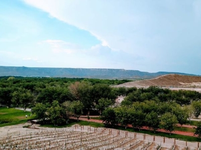 TERRENOS EN VENTA EN PARRAS DE LA FUENTE COAHUILA