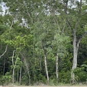 terreno en venta en la región 15 de tulum, quintana roo