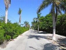 Terreno en venta en Playa Paraíso Riviera Maya- Oportunidad de inversión