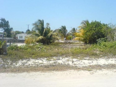 Terreno en Venta en PROGRESO Progreso, Yucatan