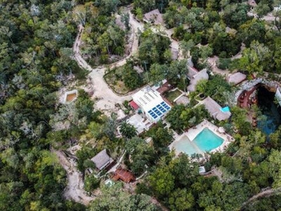 Vida Jungle Resort For Sale In San Martin Quintana Roo