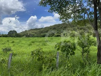 Rancho En Venta De 150 Hectareas, Villaflores, Chiapas.