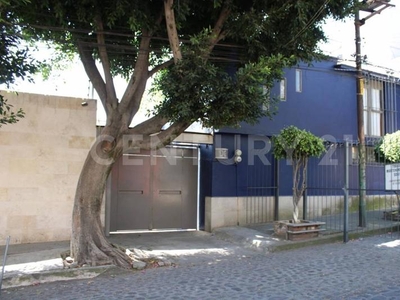 Casa en renta con jardín Las Águilas, Alvaro Obregón.