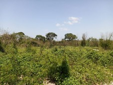 terreno colonia santa gertrudis copo merida yucatan