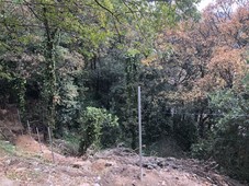 terreno en desierto de los leones, san bartolo ameyalco