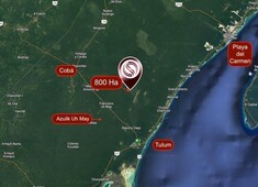 terreno en venta en coba, tulum, quintana roo