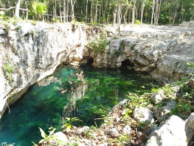 Terreno con Cenote en Venta en Akumal, Ideal para Eco-Turismo, Eco-Hotel o Resid