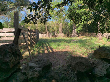 terreno con cenotes en venta en valladolid pueblo mágico- 32 hectáreas