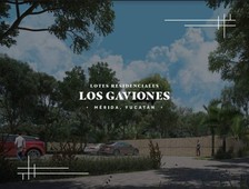 Últimos lotes Residenciales en Los Gaviones, Cholul