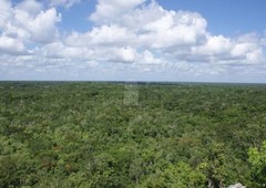 terreno habitacional en venta, en la veleta, tulum