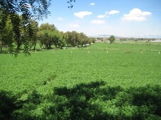 Rancho en Venta en Atitalaquia, Hidalgo