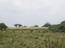Rancho en Venta en Santiago Tuxtla, Veracruz