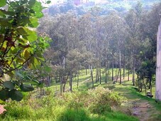 terreno boscoso para desarrollo habitacional