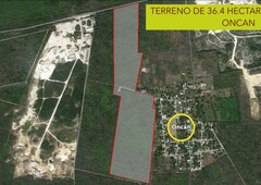 terreno de 30 hectáreas en venta - oncan mérida, yucatán