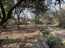 TERRENO PLANO EN VENTA JIUTEPEC