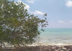 venta excelente terreno con frente de mar tulum sian kaan