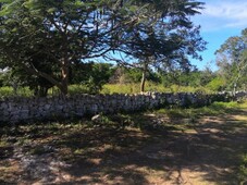 Venta Rancho ganadero en panaba yalsihon de 135 has (dzilam gonzalez) yucatan