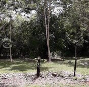 terreno en venta en bacalar