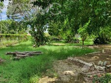 terreno en venta en bacalar