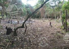 terreno en venta en bacalar quintana roo