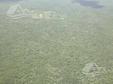 terreno en venta en cancun selva sagrada sm 106