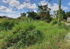terreno en venta en carretera chetumal-cancun