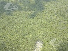 terreno en venta en selva sagrada sm 106 cancun