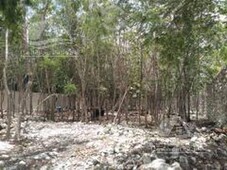 terreno en venta en tulum riviera maya