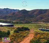 rancho de 100 hectareas, listo para producir vino.