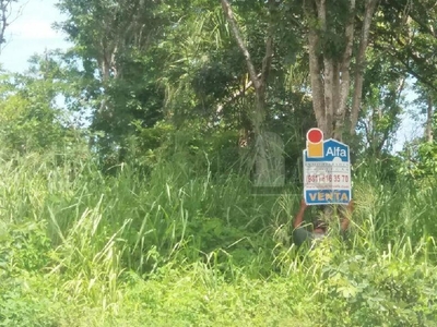 Terreno en Venta en Punta Xen Champotón, Campeche