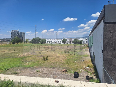 Terreno En Renta En El Corazón De Juriquilla Sobre Avenida D