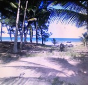 terreno venta 6732.60 m en la playa norte tuxpan veracruz