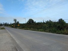 vendo terreno 6 hectáreas carretera tuxpan tamiahua veracruz