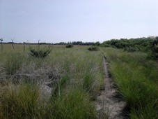 vendo terreno frente laguna tampamachoco tuxpan veracruz 2.1 hectáreas